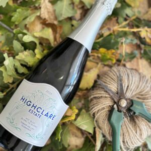 Sparkling wine bottle among leaves with garden tools